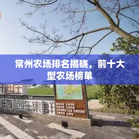 常州农场排名揭晓，前十大型农场榜单