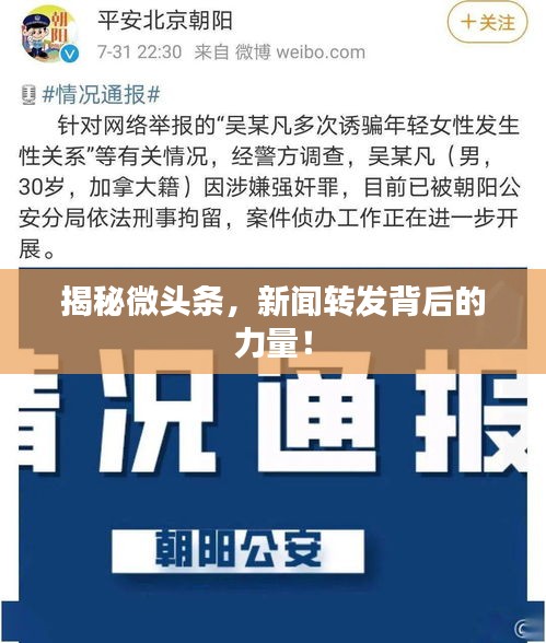 揭秘微头条，新闻转发背后的力量！