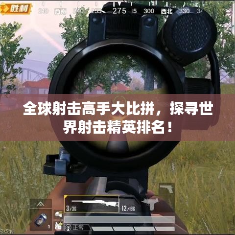 全球射击高手大比拼，探寻世界射击精英排名！