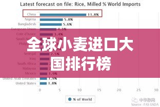 全球小麦进口大国排行榜