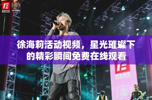 徐海莉活动视频，星光璀璨下的精彩瞬间免费在线观看