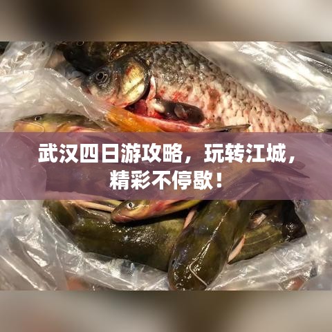 武汉四日游攻略，玩转江城，精彩不停歇！