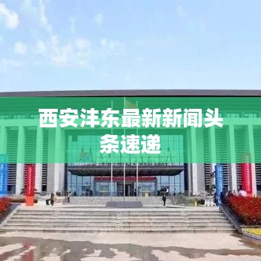 西安沣东最新新闻头条速递