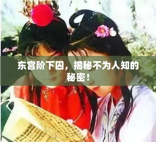 东宫阶下囚，揭秘不为人知的秘密！