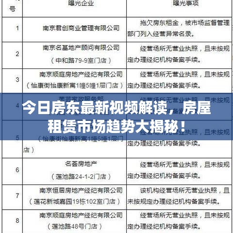 今日房东最新视频解读，房屋租赁市场趋势大揭秘！