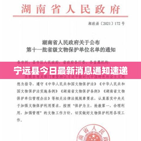 公司简介 第94页