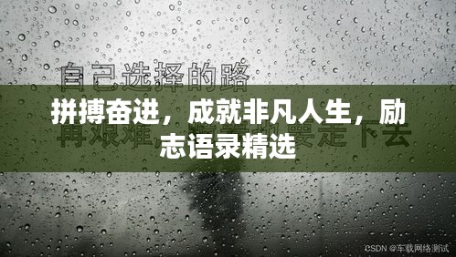 拼搏奋进，成就非凡人生，励志语录精选