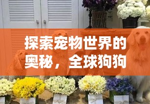探索宠物世界的奥秘，全球狗狗名字大盘点