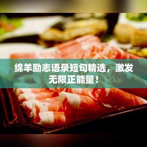 绵羊励志语录短句精选，激发无限正能量！