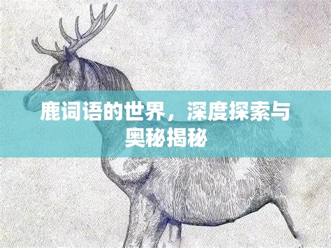 鹿词语的世界，深度探索与奥秘揭秘