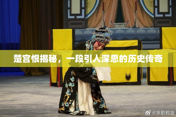 楚宫恨揭秘，一段引人深思的历史传奇