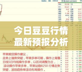 今日豆豆行情最新预报分析