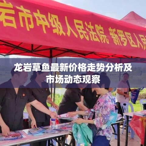 龙岩草鱼最新价格走势分析及市场动态观察