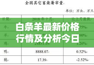 白条羊最新价格行情及分析今日报告