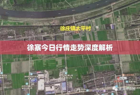 徐寨今日行情走势深度解析