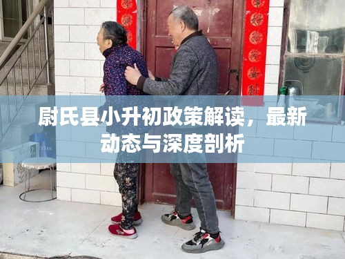 尉氏县小升初政策解读，最新动态与深度剖析