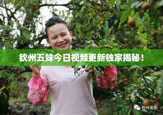 钦州五妹今日视频更新独家揭秘！