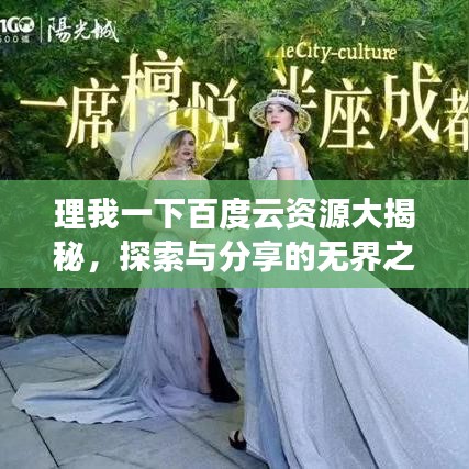 理我一下百度云资源大揭秘，探索与分享的无界之旅