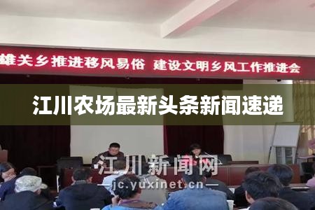 怀真抱素 第2页