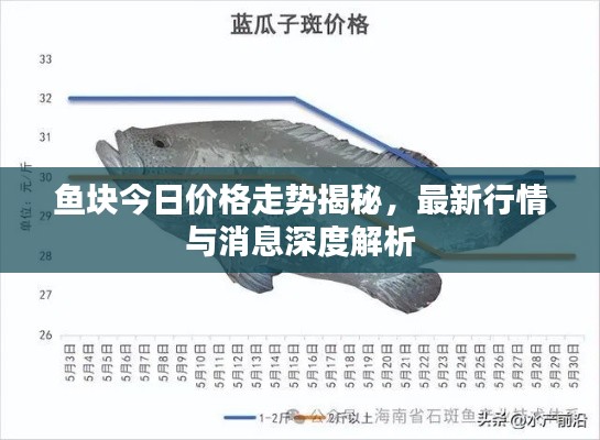 鱼块今日价格走势揭秘，最新行情与消息深度解析