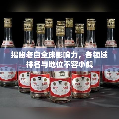揭秘老白全球影响力，各领域排名与地位不容小觑
