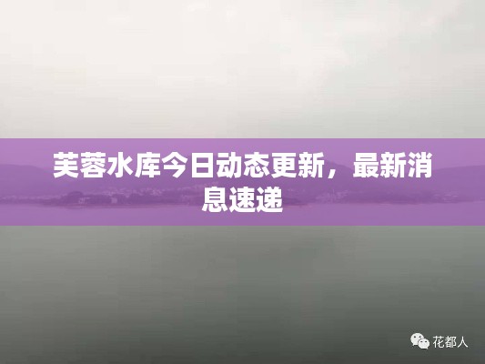 芙蓉水库今日动态更新，最新消息速递