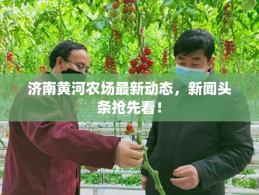 济南黄河农场最新动态，新闻头条抢先看！