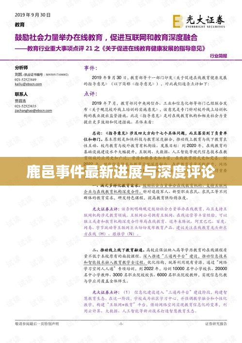 鹿邑事件最新进展与深度评论