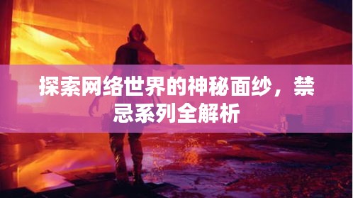 探索网络世界的神秘面纱，禁忌系列全解析