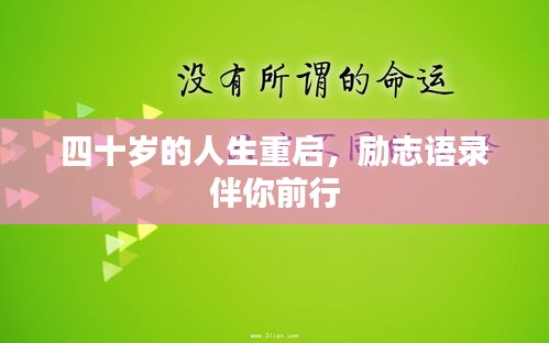 四十岁的人生重启，励志语录伴你前行