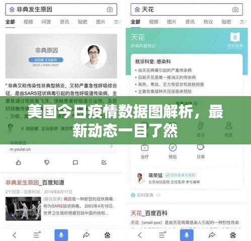 美国今日疫情数据图解析，最新动态一目了然