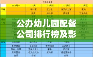 公办幼儿园配餐公司排行榜及影响力分析