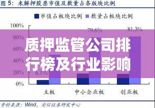 质押监管公司排行榜及行业影响力深度解析