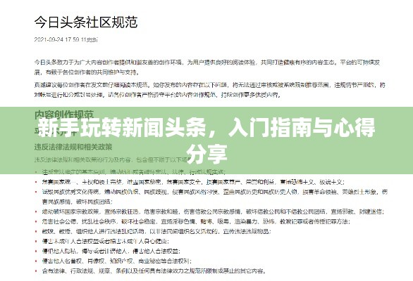 新手玩转新闻头条，入门指南与心得分享
