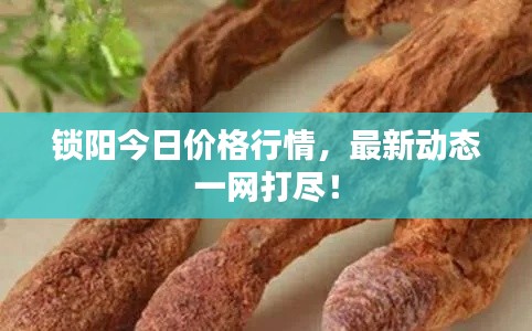 锁阳今日价格行情，最新动态一网打尽！