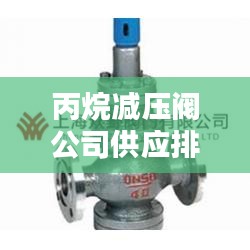 丙烷减压阀公司供应排名大揭秘！
