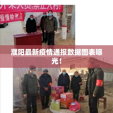 濮阳最新疫情通报数据图表曝光！