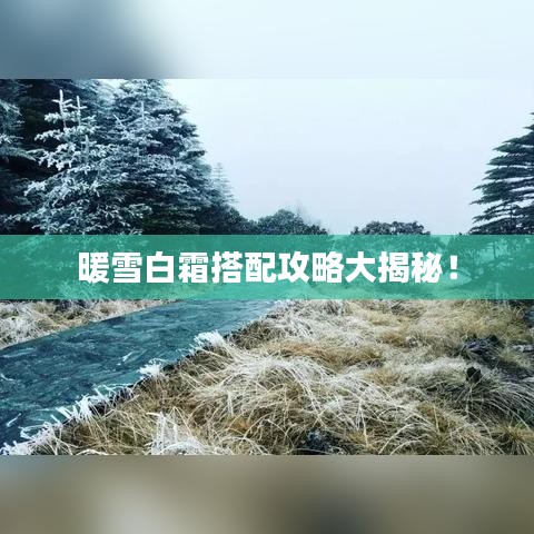 暖雪白霜搭配攻略大揭秘！