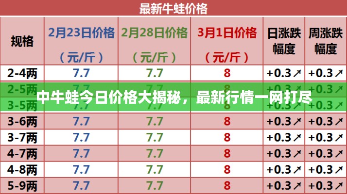中牛蛙今日价格大揭秘，最新行情一网打尽