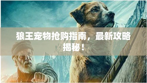 狼王宠物抢购指南，最新攻略揭秘！