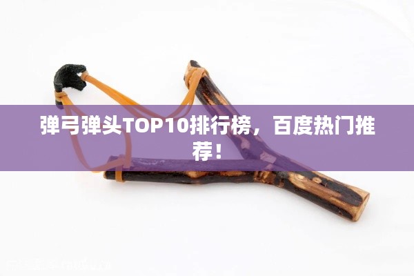 箪瓢陋巷 第2页