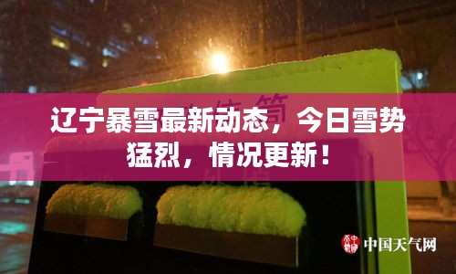 辽宁暴雪最新动态，今日雪势猛烈，情况更新！