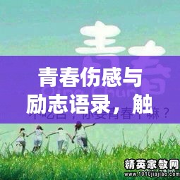 青春伤感与励志语录，触动心灵的句子精选