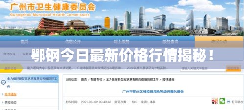 鄂钢今日最新价格行情揭秘！