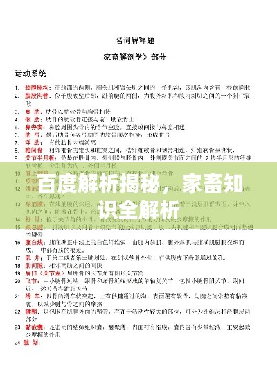 百度解析揭秘，家畜知识全解析