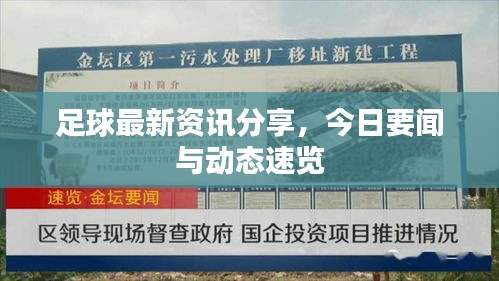 足球最新资讯分享，今日要闻与动态速览