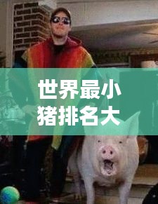 世界最小猪排名大揭秘，珍稀迷你猪品种榜单揭晓！