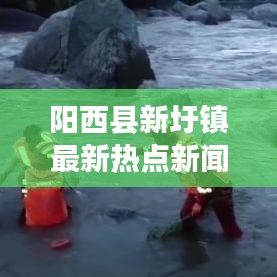 阳西县新圩镇最新热点新闻速递