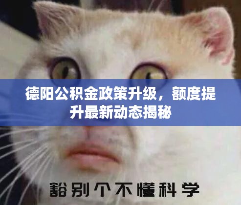德阳公积金政策升级，额度提升最新动态揭秘