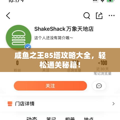 咸鱼之王85塔攻略大全，轻松通关秘籍！